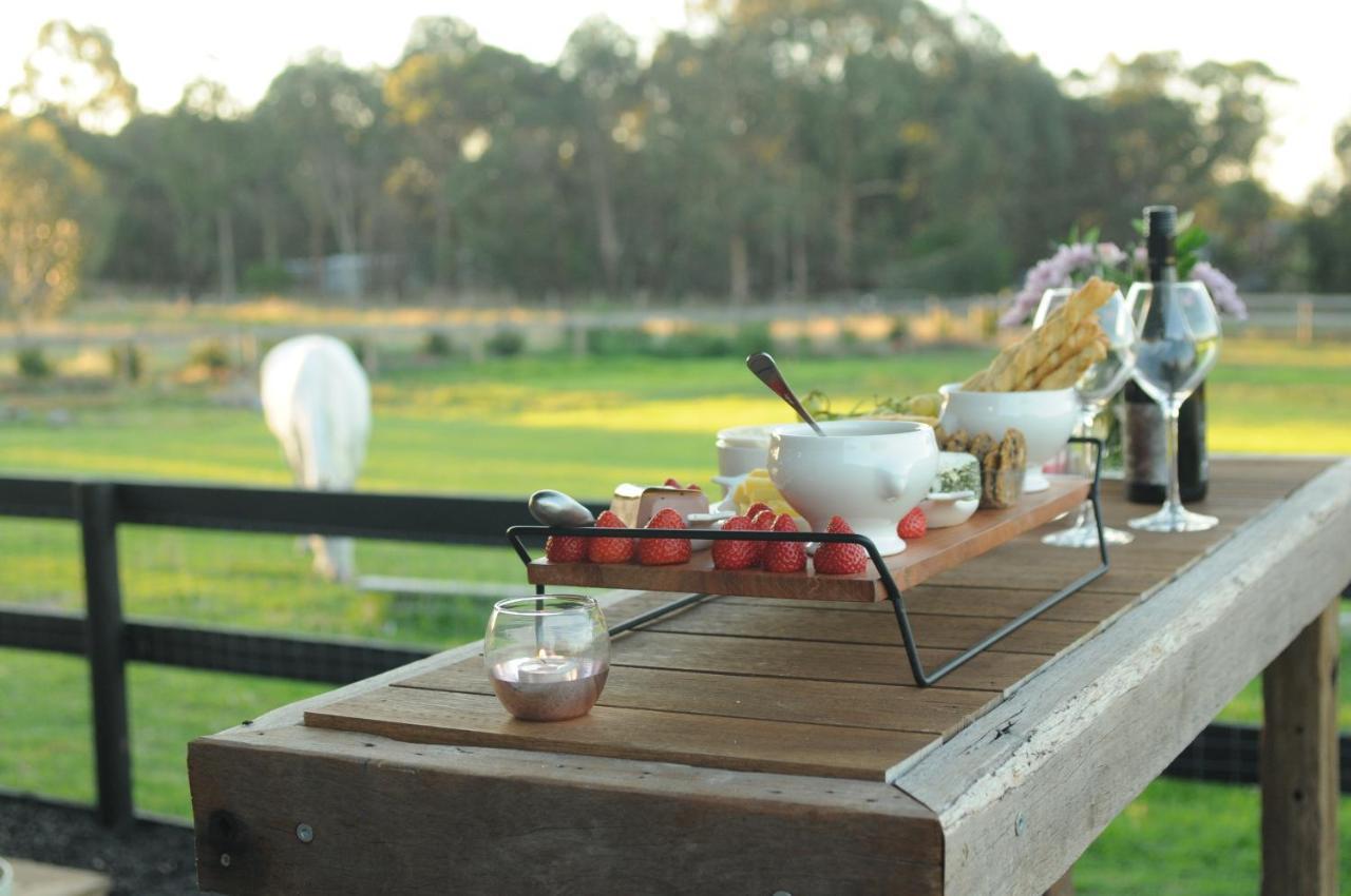 Wagtail Nest Country Retreat - Longford Vic 3851 Bed & Breakfast Sale Exterior photo