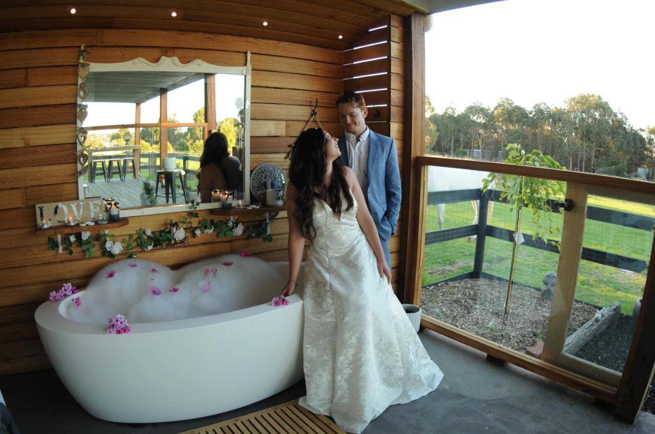 Wagtail Nest Country Retreat - Longford Vic 3851 Bed & Breakfast Sale Exterior photo
